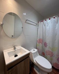 ein Badezimmer mit einem Waschbecken, einem WC und einem Spiegel in der Unterkunft Cabaña Las Patagüas - Coñaripe in Coñaripe