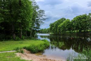 widok na jezioro z drzewami na brzegu w obiekcie Sodybos Narūnas namelis dviems w mieście Janów