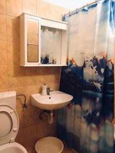 a bathroom with a toilet and a sink and a shower curtain at Apartments by the sea Zuljana, Peljesac - 20094 in Žuljana