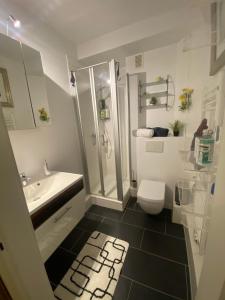 ein Badezimmer mit Dusche, Toilette und Waschbecken in der Unterkunft Central City Privatapartment Relax-Inn, Netflix & Sky TV! in Hannover