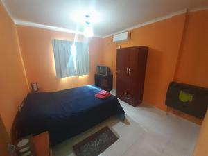 1 dormitorio con 1 cama, armario y TV en Departamento América, en Puerto Madryn