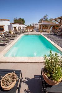 a swimming pool with chairs and plants in a resort at Hotel La Cochera in San Pedro de Atacama