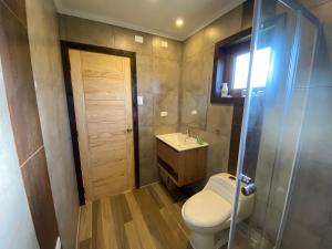 a bathroom with a toilet and a sink and a shower at Cabaña Pampa Pinuer Coyhaique in Coihaique