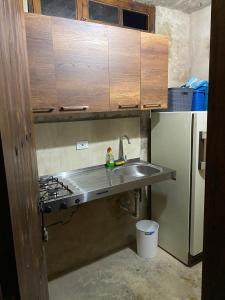 eine Küche mit einer Spüle und einem Kühlschrank in der Unterkunft Casa Boutique San Miguel in San José de Pare
