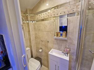 bagno con doccia, lavandino e servizi igienici di Cosy Studio Apartment In FULHAM a Londra