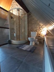 baño con ducha y aseo en el ático en Maison du Moulin Galuzot, en Saint-Vallier