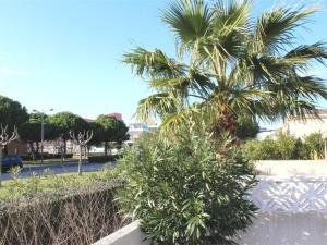 Ogród w obiekcie Maison cosy avec terrasse, 2 chambres, piscine partagée, proche plage et commerces, Gruissan - FR-1-229-832