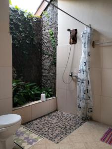 een badkamer met een douche en een plant bij Made Oka Homestay and Warung in Munduk