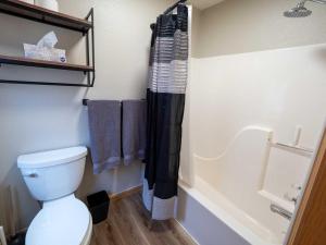 a bathroom with a toilet and a shower curtain at Overlook in Granby +31 photos