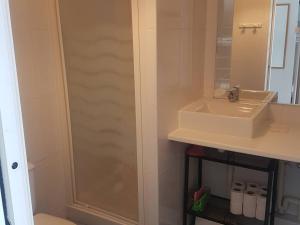 une salle de bain avec lavabo et douche dans l'établissement Studio cosy pour 4 pers avec kitchenette, parking et casier à skis à Arette - FR-1-602-112, à Arette