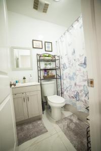 a bathroom with a toilet and a shower curtain at Top Floor with Skylight Brooklyn in Brooklyn