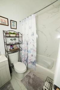 a bathroom with a toilet and a shower curtain at Top Floor with Skylight Brooklyn in Brooklyn