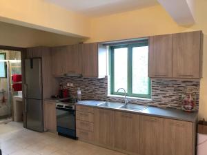 Kuchyňa alebo kuchynka v ubytovaní Kakovatos - Luxury sea view apartment “Theodora” 54m2. + 16 fotografií