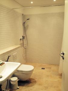 een badkamer met een douche, een toilet en een wastafel bij Apartment in Druskininkai Lithuania in Druskininkai