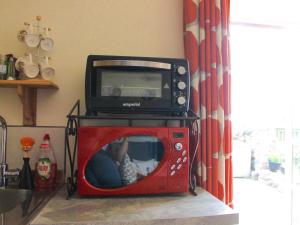 a microwave sitting on top of a red tv at Laurel Bank in Alyth