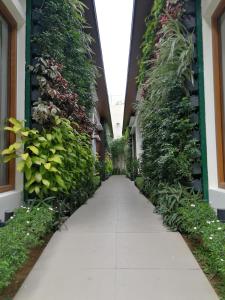 マニラにあるAdria Residences - Ruby Garden - 2 Bedroom for 4 personの壁に植物を施した建物内廊下