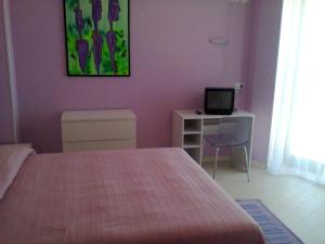 TV a/nebo společenská místnost v ubytování Hotel Flaminio