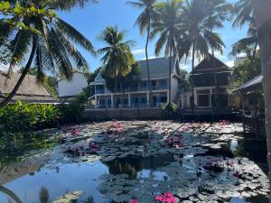 琅勃拉邦的住宿－綠洲別墅酒店，池塘,满是粉红色的花朵和棕榈树