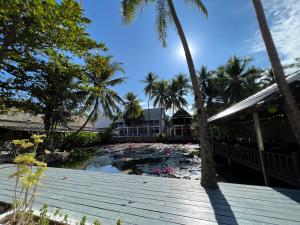 a view of a pond with palm trees and a house at Villa Oasis in Luang Prabang