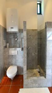 een badkamer met een toilet en een glazen douche bij Green haven roofgarden penthouse in central area in Wenen
