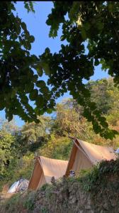 grupa namiotów na wzgórzu z drzewami w obiekcie Neerville Waterfall Glamping- Neer waterfall w mieście Shivpuri