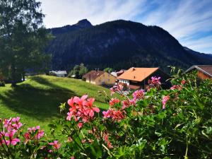 a field of flowers with a mountain in the background at Haus Steinkarblick und Berghäusl in Berwang