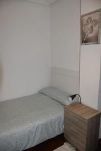 Fotografie z fotogalerie ubytování Apartamento Virgen de las Viñas v destinaci Aranda de Duero