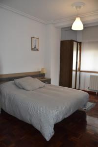 Fotografie z fotogalerie ubytování Apartamento Virgen de las Viñas v destinaci Aranda de Duero