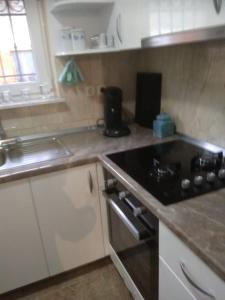 uma cozinha com um lavatório e um fogão forno superior em Villa Brabant em Stolac