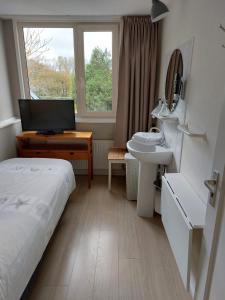 1 dormitorio con cama, lavabo y ventana en Bed & Breakfast d'Ouwe Smidse, en Kamperland