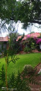 einen Hof mit einem Haus mit rosa Blumen in der Unterkunft Immaculate 2-Bed Garden Cottage in Beaufort West in Beaufort West