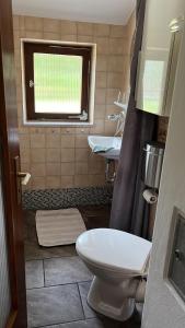 La salle de bains est pourvue de toilettes et d'un lavabo. dans l'établissement Häusle in der Tannenmühle, à Seeg