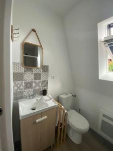 uma casa de banho com um lavatório, um WC e um espelho. em O'Ptit Roupillon By Mel & Jérôme 