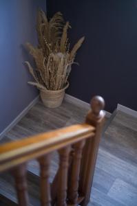 a potted plant sitting on top of a staircase at Hôtel - Restaurant U Santu Petru in Saint-Florent
