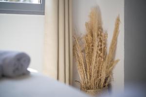 a vase filled with dry grass sitting next to a window at Hôtel - Restaurant U Santu Petru in Saint-Florent
