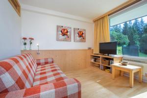 a living room with a couch and a television at Appartement Wiesberger 62 Top 6 in Königsleiten