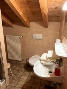 ein Badezimmer mit einem weißen WC und einem Waschbecken in der Unterkunft Landgasthof Jägerhaus in Immenstadt im Allgäu