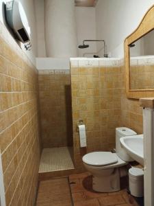 La salle de bains est pourvue de toilettes, d'un lavabo et d'une douche. dans l'établissement Mas Del Llop Blanc - Dog friendly Hostal Rural - B&B, à Sobrestany