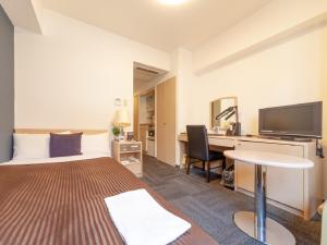 TV a/nebo společenská místnost v ubytování HOTEL LiVEMAX BUDGET Shinbashi