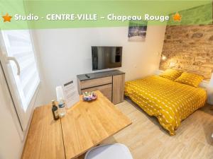 TV a/nebo společenská místnost v ubytování LES NIDS DE SAINT MARC - centre-ville
