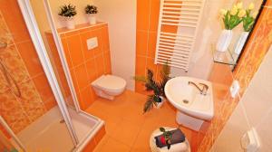 a bathroom with a toilet a sink and a shower at Apartmán JaFi Lipno nad Vltavou in Lipno nad Vltavou