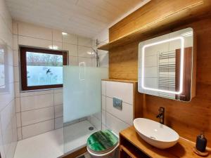 a bathroom with a sink and a toilet and a window at Apfelhaus beim Hennesee in Meschede