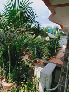 uma vista para um jardim com palmeiras e uma televisão em A's Guest House 
