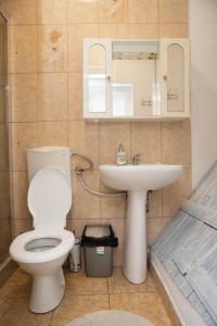 La salle de bains est pourvue de toilettes et d'un lavabo. dans l'établissement Cosy apartment in city centre, à Oradea