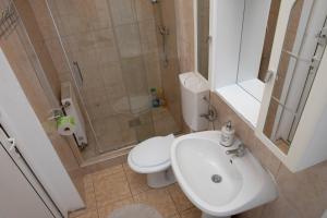La salle de bains est pourvue d'une douche, de toilettes et d'un lavabo. dans l'établissement Cosy apartment in city centre, à Oradea