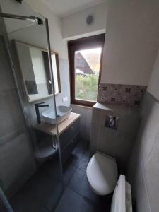 a bathroom with a sink and a toilet and a window at Studio Châtel rénové et lumineux in Châtel