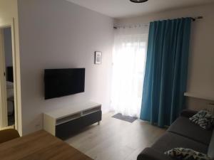 Televízia a/alebo spoločenská miestnosť v ubytovaní Apartament Lenka