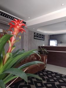 een woonkamer met een bank en een rode bloem bij Astor Hotel in Bauru
