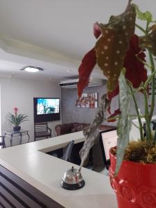 a plant in a red vase sitting on a counter at Astor Hotel in Bauru