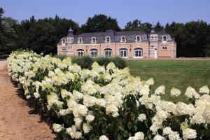 ein Feld weißer Rosen vor einem Gebäude in der Unterkunft Orangerie de la Touchardière in Durtal